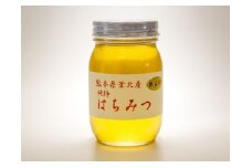 B56-14 れんげ蜂蜜（600ｇ）