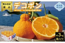 B26-16ハウスデコポン3㎏