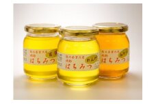 B59-20 純粋蜂蜜セット（各300g×3個）