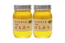 B64-24 れんげ蜂蜜600g×2本セット