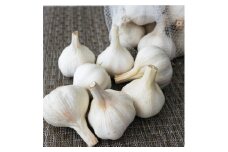 B66-10 ニンニク約２kg
