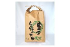 B136-19 米手(こめて)　ヒノヒカリ白米５kg　【農薬・化学肥料不使用米】【令和６年産】