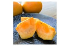 B67-15 しおかぜ太秋（約４kg）