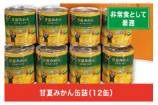 B80-15 甘夏みかん缶詰（12缶入）
