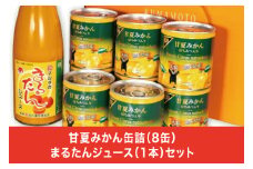 B81-15 甘夏みかん缶詰（８缶）まるたんジュース（１本）セット