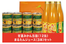 B82-23 甘夏みかん缶詰（12缶）まるたんジュース（3本）セット