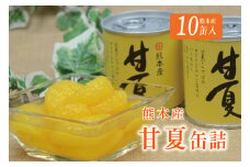 B45-13 甘夏缶詰（10缶入）