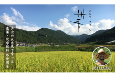 B141-13 米手(こめて)　ミルキークイーン白米３kg　【農薬・化学肥料不使用米】【令和５年産】