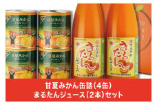 B167-12 甘夏みかん缶詰（４缶）まるたんジュース（２本）セット