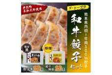 B164-11 ダ・ロープ亭　和牛餃子セット（黒・レモン）