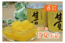 B183-09 甘夏缶詰（6缶入）