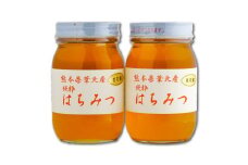 B181-17 百花蜂蜜600g×2本セット