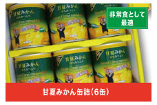 B206-09 甘夏みかん缶詰（6缶入）