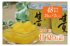 B242-50 甘夏缶詰（24缶入×2ケース）