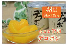 B243-50 デコポン缶詰（24缶入×2ケース）