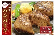 B299-15 あか牛100％ハンバーグ セット（あか牛ハンバーグ120g×6個）