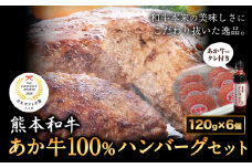 あか牛 100％ハンバーグ 120g×6個 あか牛のたれ付き 熊本県産 あか牛 あかうし 三協畜産 《30日以内に出荷予定(土日祝除く)》 熊本県 津奈木町 タレ付き ハンバーグ 熊本和牛 送料無料