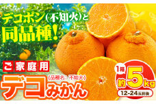 デコポン ( 不知火 )と同品種！デコみかん 熊本県産 (津奈木町産含む) 訳あり 約5kg前後(12-24玉前後) 柑橘《2月中旬-4月末頃出荷》 みかん フルーツ 不知火 先行予約 訳あり 訳アリ ご家庭用 でこみかん 果物 予約受付