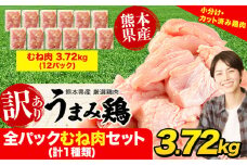 鶏肉 うまみ鶏 全パックむね肉セット(計1種類) 合計3.72kg 冷凍 小分け 《7-14日以内に出荷予定(土日祝除く)》 肉 若どり  むね ムネ 個包装 熊本県産 鶏肉 鶏ムネ ムネ肉 ムネ肉 冷凍 冷凍鶏肉 冷凍ムネ肉 国産 国産鶏肉 国産ムネ肉 九州産 九州産鶏肉 