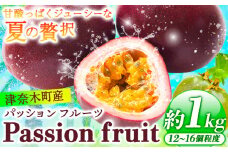 先行予約 津奈木町産 パッションフルーツ 約1kg(12～16個) つなぎ南興FARM《7月上旬-7月中旬頃出荷》フルーツ 果物 熱帯果樹栽培 バニラアイス ヨーグルト 練乳 