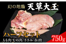 天草大王 ハーフセット 約750g【幻の地鶏】もも・むね・ささみ各1枚 熊本県産 葦北郡 津奈木町《60日以内に出荷予定(土日祝除く)》