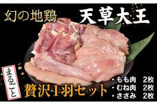 天草大王 贅沢1羽セット 約1.5kg【幻の地鶏】もも・むね・ささみ 各2枚《60日以内に出荷予定(土日祝除く)》 熊本県 葦北郡 津奈木町