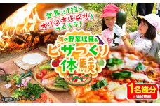 野菜収穫・ピザづくり体験チケット 1名様分※追加可能《30日以内に出荷予定(土日祝除く)》熊本県 葦北郡 津奈木町 わらく農園 ピザ 野菜 手作りピザ ピザ窯 送料無料