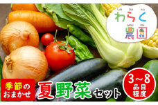 季節のおまかせ『夏』野菜セット 3～8品目程度 わらく農園《7月中旬から8月中旬頃出荷》熊本県 葦北郡 津奈木町 野菜 野菜セット