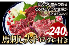 鮮馬刺し大トロ 約240g タレ付き 馬肉 冷凍 《60日以内に出荷予定(土日祝除く)》 新鮮 さばきたて 生食用 肉 熊本県葦北郡津奈木町 馬刺し 馬肉 希少部位