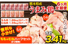 【6ヶ月定期便】 鶏肉 うまみ鶏 もも+むねハーフセット(計2種類) 計3.72kg 若鶏 冷凍 小分け《お申込み月の翌月より出荷開始》