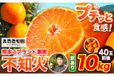 不知火 訳あり 先行予約 熊本のブランド果実 不知火 約 10kg 40玉前後 デコポン と同品種 でこぽん フルーツ 果物 みかん ミカン 柑橘 しらぬい 未来来農園 《2026年4月上旬-4月下旬頃出荷》熊本県 葦北郡 津奈木町 