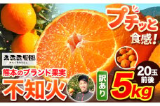 不知火 訳あり 先行予約 熊本のブランド果実 不知火 約 5kg 20玉前後 デコポン と同品種 でこぽん フルーツ フルーツ みかん ミカン 柑橘 しらぬい 未来来農園 《2026年4月上旬-4月下旬頃出荷》 熊本県 葦北郡 津奈木町 