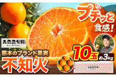 不知火 贈答用 先行予約 熊本のブランド果実 不知火 10玉 約3kg 未来来農園 デコポン と同品種 でこぽん フルーツ 果物 みかん ミカン 柑橘 しらぬい 《2026年4月上旬-4月下旬頃出荷》熊本県 葦北郡 津奈木町 
