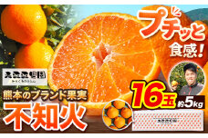 不知火 贈答用 先行予約 熊本のブランド果実 不知火 16玉 約5kg 未来来農園 デコポン と同品種 でこぽん フルーツ 果物 みかん ミカン 柑橘 しらぬい 《2026年4月上旬-4月下旬頃出荷》熊本県 葦北郡 津奈木町 
