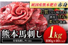 馬刺し 赤身馬刺し 1kg 馬刺し 約100g×10ブロック (タレ5ml×10袋) 純国産 熊本肥育 肉 生食用 冷凍《30日以内に出荷予定(土日祝除く)》 馬肉 赤身 タレ付き 送料無料