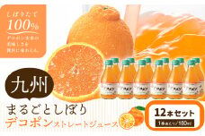 九州まるごとしぼり デコポン ストレートジュース 12本セット 1本あたり180ml《30日以内に出荷予定(土日祝除く)》熊本県 水俣市 津奈木町 福田農場 ジュース 柑橘 セット 果汁100%