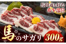 馬のサガリ 300g 桜屋 《30日以内に出荷予定(土日祝除く)》熊本県 葦北郡 津奈木町 馬刺し 馬肉 肉 サガリ 送料無料