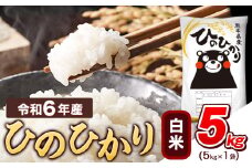 令和6年産  白米 ひのひかり 5kg 《7-14営業日以内に出荷予定(土日祝除く)》熊本県産 ふるさと納税 精米 ひの 米 こめ ふるさとのうぜい ヒノヒカリ コメ お米 おこめ
