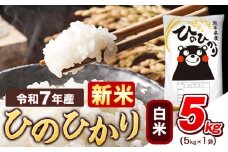 新米 令和7年産  白米 ひのひかり 5kg 《9月下旬-11月上旬頃出荷》熊本県産 ふるさと納税 精米 ひの 米 こめ ふるさとのうぜい ヒノヒカリ コメ お米 おこめ