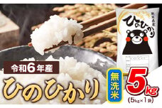 令和6年産  無洗米 ひのひかり 5kg 《7-14営業日以内に出荷予定(土日祝除く)》熊本県産 ふるさと納税 精米 ひの 米 こめ ふるさとのうぜい ヒノヒカリ コメ お米 おこめ