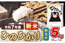 新米 令和7年産  無洗米 ひのひかり 5kg 《11月上旬頃まで出荷》熊本県産 ふるさと納税 精米 ひの 米 こめ ふるさとのうぜい ヒノヒカリ コメ お米 おこめ
