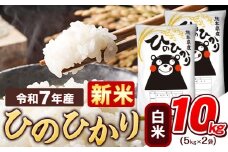 新米 令和7年産  白米 ひのひかり 10kg 《9月下旬-11月上旬頃出荷》令和7年産 熊本県産 ふるさと納税 精米 ひの 米 こめ ふるさとのうぜい ヒノヒカリ コメ お米 おこめ