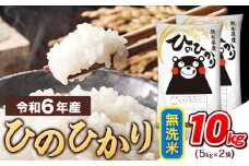 令和6年産  無洗米 ひのひかり 10kg 《7-14営業日以内に出荷予定(土日祝除く)》令和6年産 熊本県産 ふるさと納税 精米 ひの 米 こめ ふるさとのうぜい ヒノヒカリ コメ お米 おこめ
