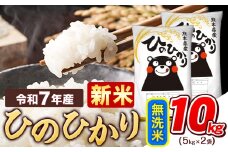 新米 令和7年産  無洗米 ひのひかり 10kg 《9月下旬-11月上旬頃出荷》令和7年産 熊本県産 ふるさと納税 精米 ひの 米 こめ ふるさとのうぜい ヒノヒカリ コメ お米 おこめ