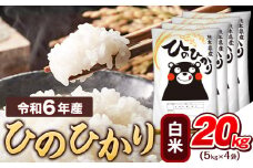 令和6年産  白米 ひのひかり 20kg 《7-14営業日以内に出荷予定(土日祝除く)》熊本県産 ふるさと納税 精米 ひの 米 こめ ふるさとのうぜい ヒノヒカリ コメ お米 おこめ