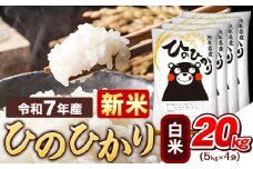 新米 令和7年産  白米 ひのひかり 20kg 《9月下旬-11月上旬頃出荷》熊本県産 ふるさと納税 精米 ひの 米 こめ ふるさとのうぜい ヒノヒカリ コメ お米 おこめ