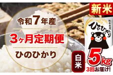 新米 令和7年産 【3ヵ月定期便】白米 ひのひかり 定期便 5kg 5kg×1袋《お申込み翌月から出荷開始》 熊本県産 精米 ひの 米 こめ ヒノヒカリ コメ お米 