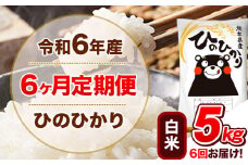 令和6年産 【6ヵ月定期便】 白米 ひのひかり 定期便 5kg 5kg×1袋《お申込み翌月から出荷開始》 熊本県産 精米 ひの 米 こめ ヒノヒカリ コメ お米