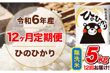 令和6年産 【12ヵ月定期便】 無洗米 ひのひかり 定期便 5kg 5kg×1袋《お申込み翌月から出荷開始》 熊本県産 精米 ひの 米 こめ ヒノヒカリ コメ お米