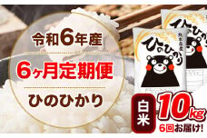令和6年産 【6ヵ月定期便】 白米 ひのひかり 定期便 10kg 5kg×2袋《お申込み翌月から出荷開始》 熊本県産 精米 ひの 米 こめ ヒノヒカリ コメ お米